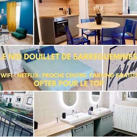 Le Nid Douillet De Sarreguemines Appartement Buitenkant foto